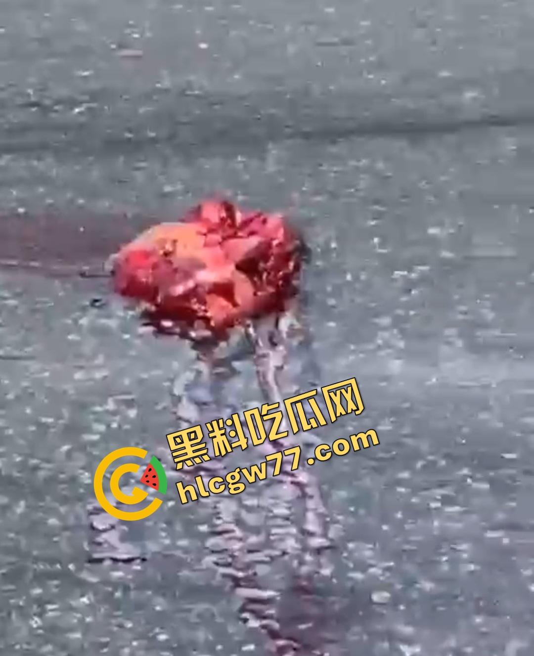 巴西若昂佩索阿摩托车手脸撕裂头断身碎!血腥车祸脸直接撕裂开,路人还想上去捡肾脏!-8