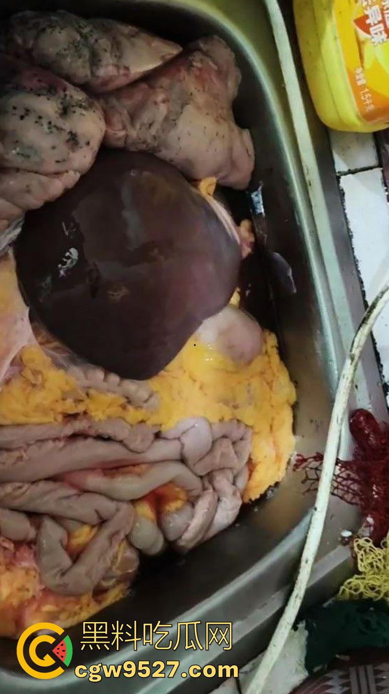 暗网越南屠夫案,男子自愿被杀,多角度砍头血如泉涌,干脆利落几秒剁头,现场原视频流出!-7