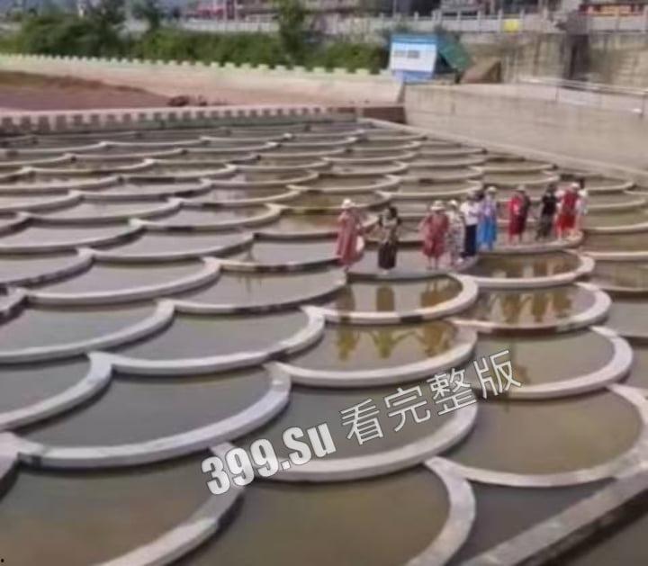 四川雅安陇西河鱼鳞坝,11位退休大妈衣着靓丽开心的在河坝边上载歌载舞 下一秒涨水带走七位,天人永隔!-3