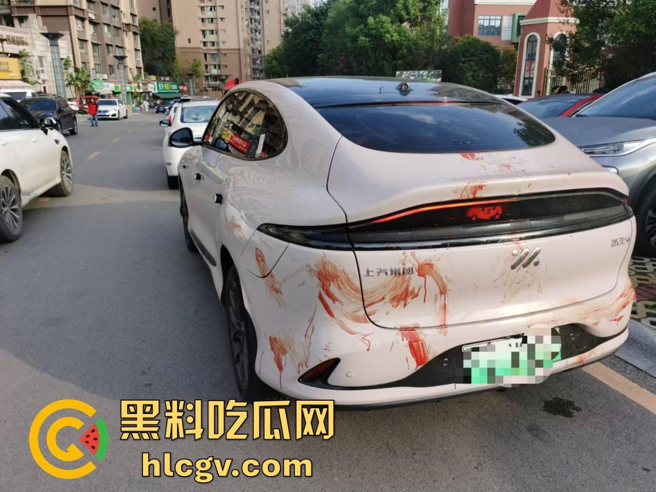 瓜友投稿提新车还得见血?智己测评见鸡血,婆婆竟找神婆做法,这年头唯物主义去哪了?-4