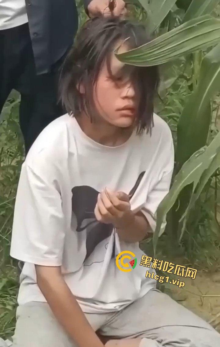 河南商丘高中女生被两名男同学殴打！玉米地中耳光、拳脚相加！
