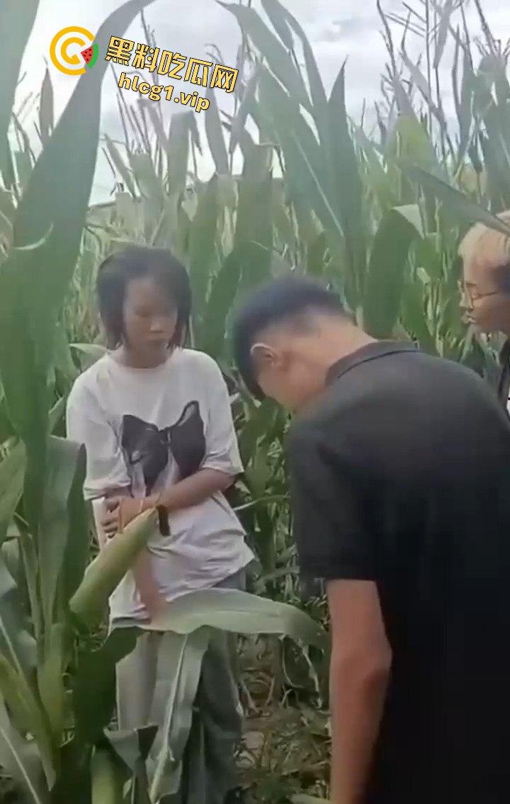 河南商丘高中女生被两名男同学殴打!玉米地中耳光、拳脚相加!-3