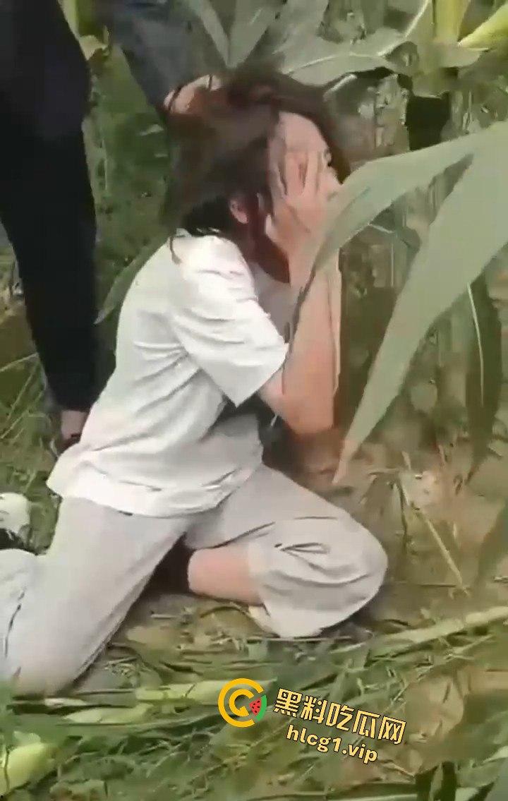 河南商丘高中女生被两名男同学殴打!玉米地中耳光、拳脚相加!-4