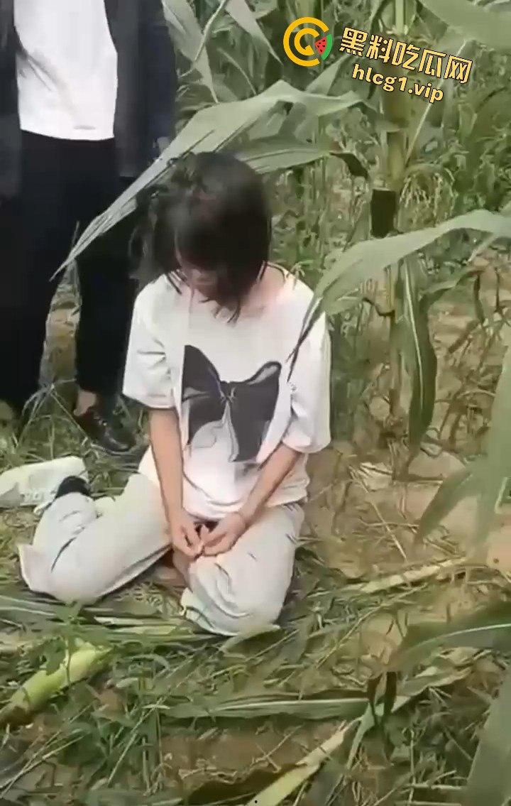 河南商丘高中女生被两名男同学殴打!玉米地中耳光、拳脚相加!-6