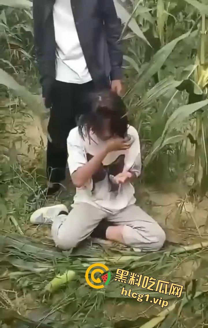 河南商丘高中女生被两名男同学殴打!玉米地中耳光、拳脚相加!-7