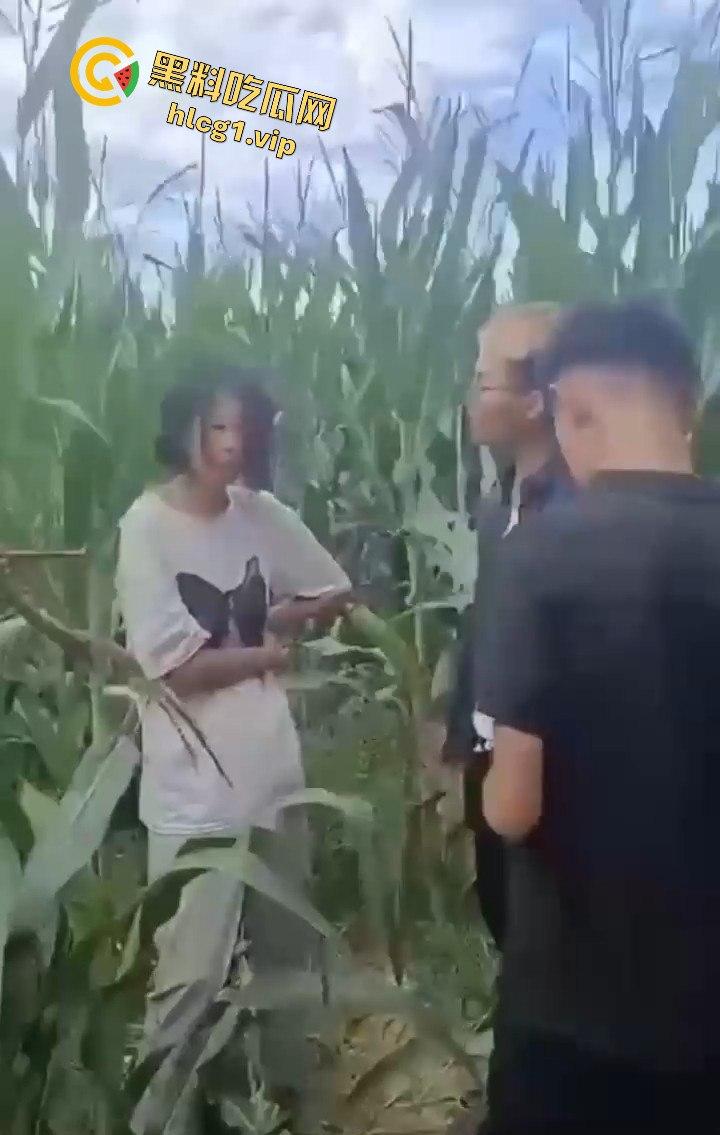 河南商丘高中女生被两名男同学殴打!玉米地中耳光、拳脚相加!-8