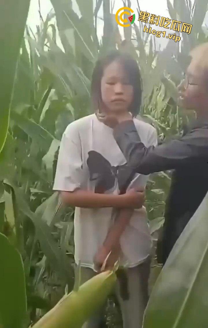 河南商丘高中女生被两名男同学殴打!玉米地中耳光、拳脚相加!-10