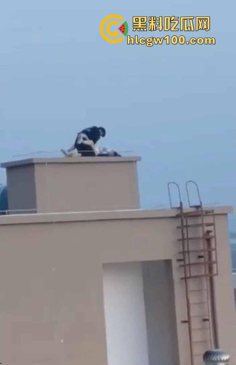 天台高能现场曝光,楼梯间顶上日逼看风景,高处做爱骚浪翻天,这种玩法不是一般人敢尝试的,真实艺高人胆大!-4