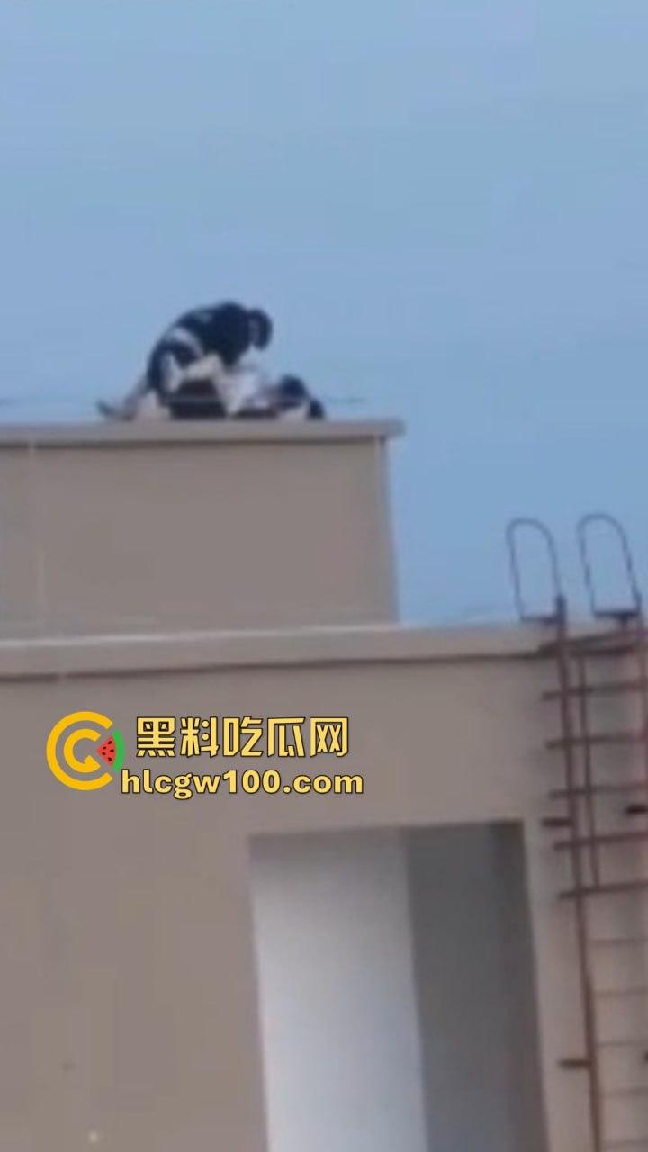 天台高能现场曝光,楼梯间顶上日逼看风景,高处做爱骚浪翻天,这种玩法不是一般人敢尝试的,真实艺高人胆大!-5