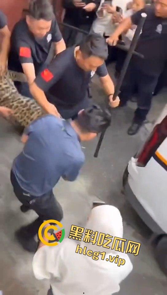 甘孜白玉县城惊现贵宾！金钱豹进城，周围居民直接呆住！