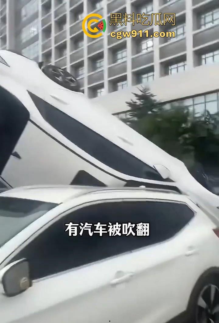 最强的超级台风【桦加沙】登陆阳江后的真实状况,到处都是被吹到的树玻璃,人类在大自然面前是多么渺小啊!-9