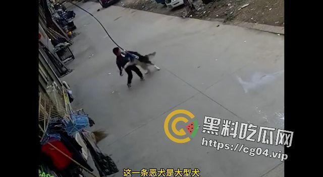 恶犬咬人！遛狗不牵绳 等于狗遛狗  狗首先是畜生 其次才是人类的朋友-4
