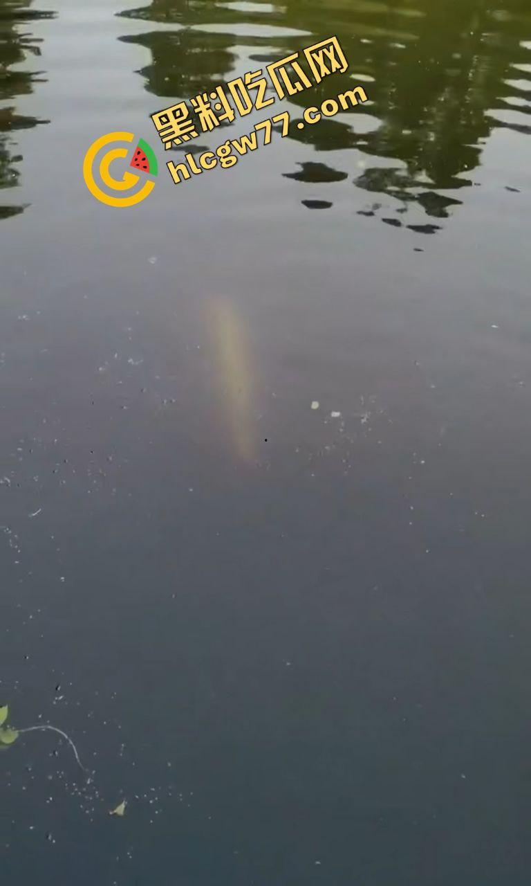 浙江宁波月湖公园惊爆变态大瓜,男子偷鱼用鱼嘴撸管,保安抓场逼放生!-6