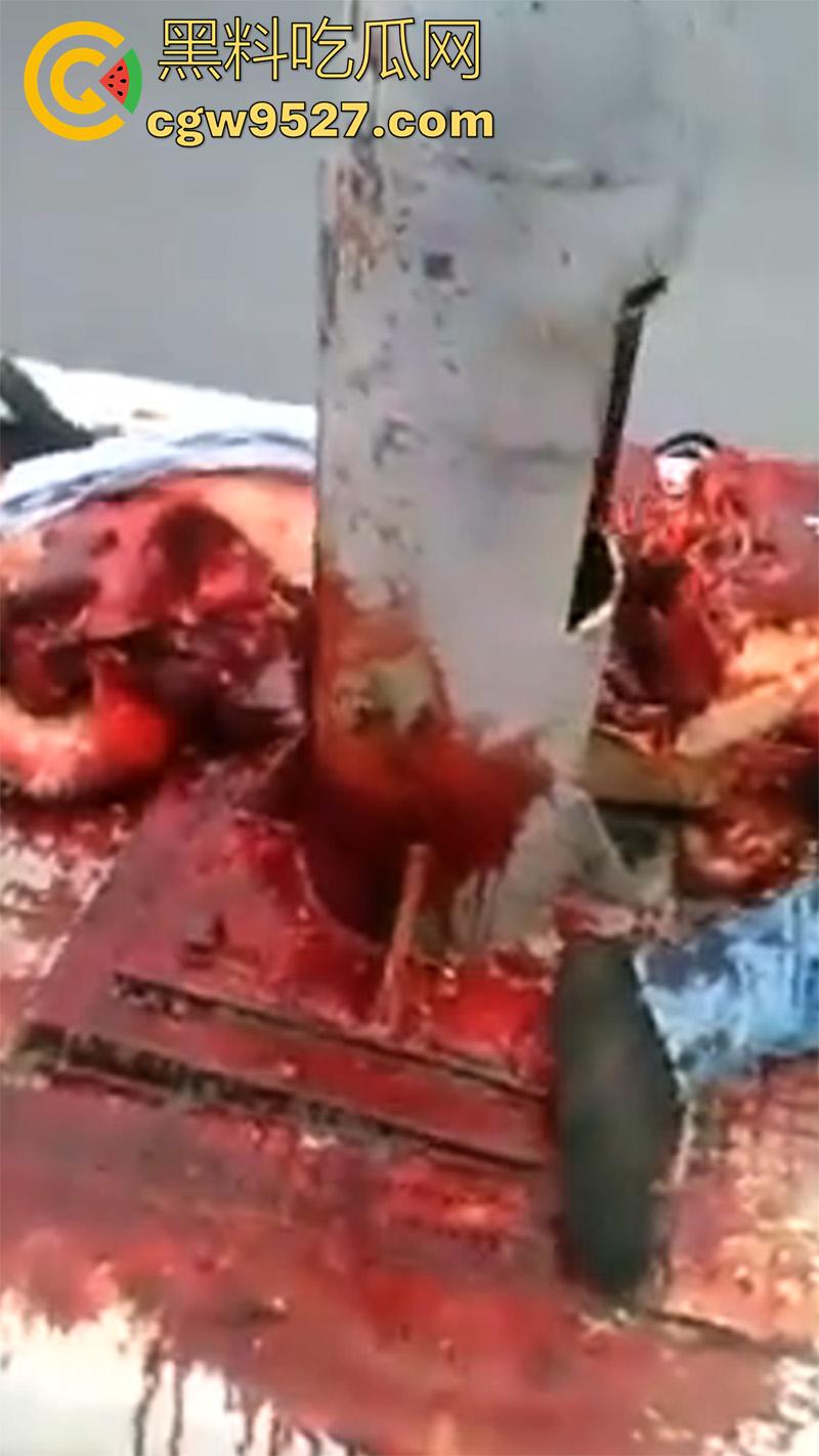 暗网流出血腥合集,吃人腿爆头剥皮车祸,想要的应有尽有,场面血腥过于重口,胆小者谨慎观看!-6