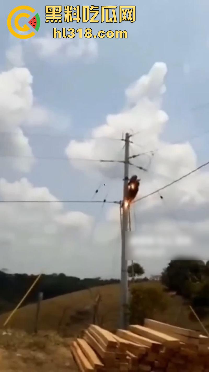 美国农场高压触电事故,农场主找来电工偷电,结果电工操作失误,竟直接当场电熟 现场画面流出!-1