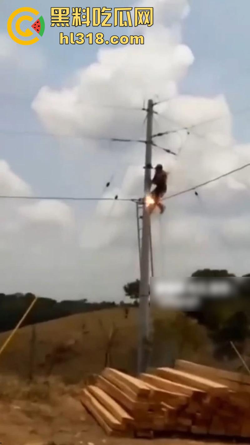 美国农场高压触电事故,农场主找来电工偷电,结果电工操作失误,竟直接当场电熟 现场画面流出!-3