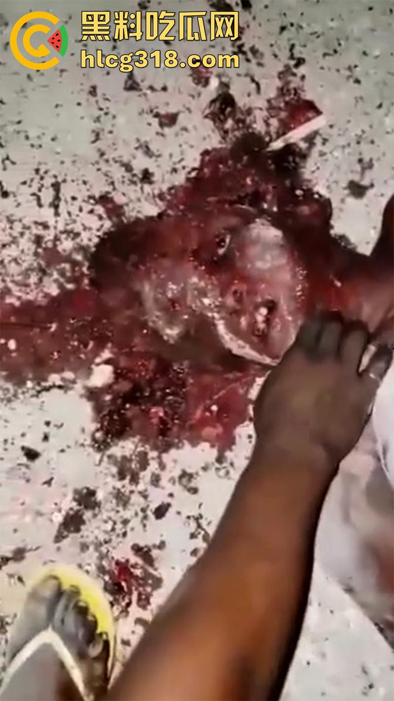 非洲大奶黑妹被砍断双手,棍棒砸扁头杀害后,被一群男子当场分尸割肉,还有人拿棍捅逼,真变态啊!-8