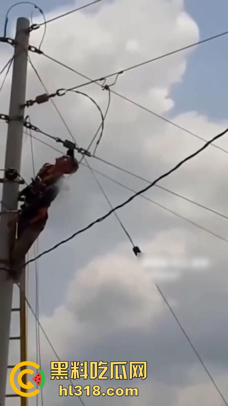 美国农场高压触电事故,农场主找来电工偷电,结果电工操作失误,竟直接当场电熟 现场画面流出!-4