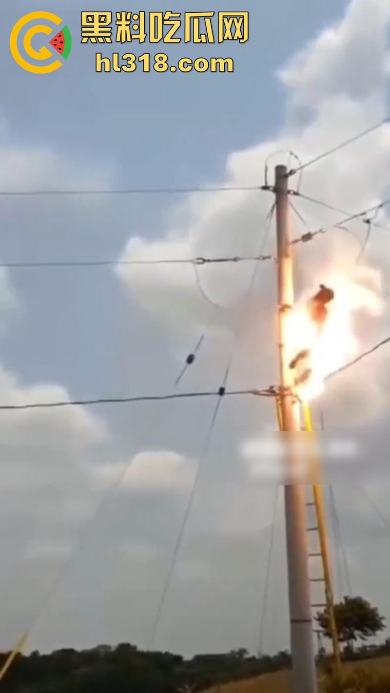 美国农场高压触电事故,农场主找来电工偷电,结果电工操作失误,竟直接当场电熟 现场画面流出!-5