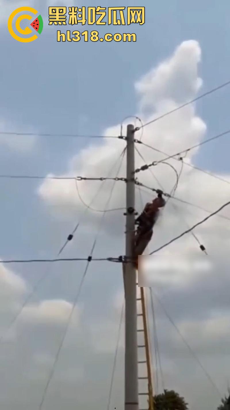 美国农场高压触电事故,农场主找来电工偷电,结果电工操作失误,竟直接当场电熟 现场画面流出!-7