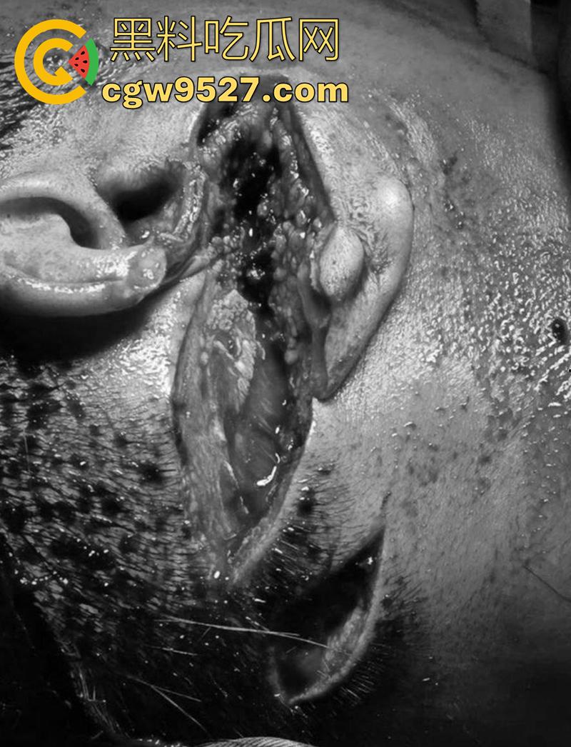 越南海防水果批发市场,发生重大砍人事件,男子手持菜刀疯狂劈砍,导致三人身受重伤,现场视频流出!-3