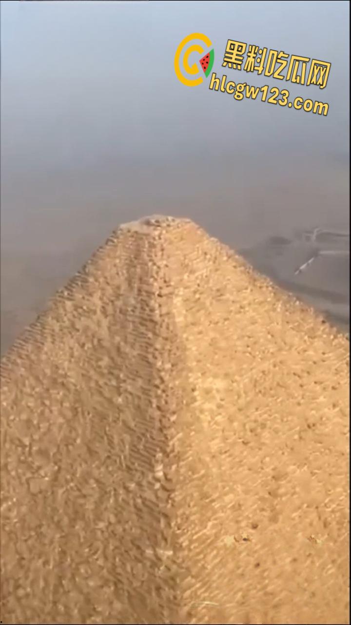 狗狗硬爬126米金字塔顶，狂吠耍帅当“法老”，稳稳下塔震惊全球！-3