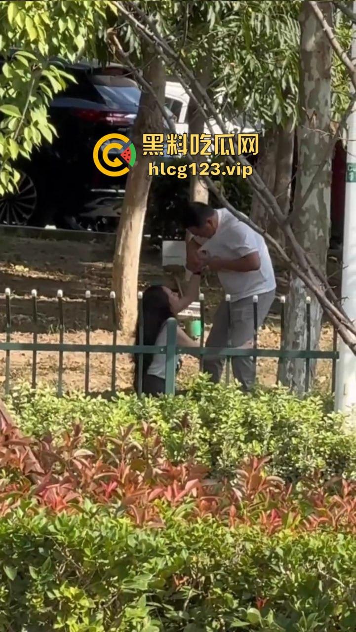 安徽芜湖长江南路惊现大尺度现场！为爱马仕鳄鱼皮，女的当街给口，鸡瘾犯了拼了命！-1