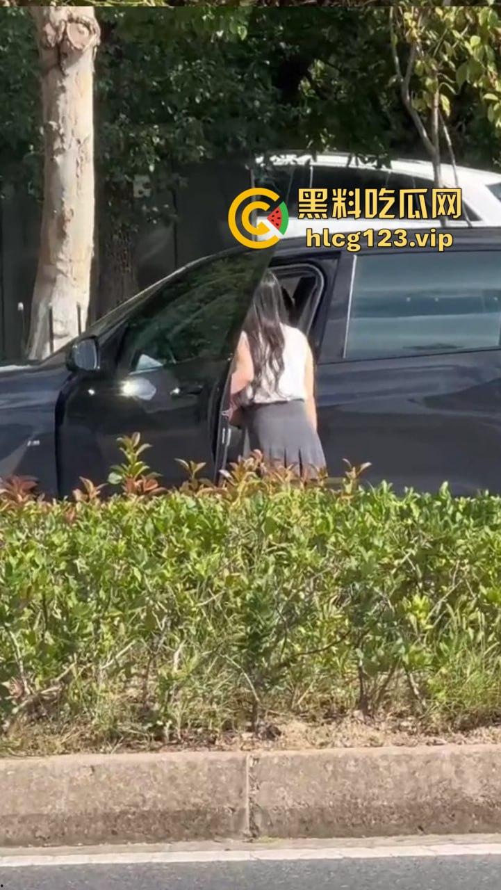 安徽芜湖长江南路惊现大尺度现场！为爱马仕鳄鱼皮，女的当街给口，鸡瘾犯了拼了命！-8