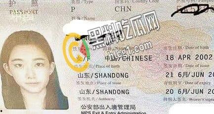 山东巨乳留学生 大嫚儿 丰乳肥臀细腰标准模特身材 尤其是一对大奶子是真的圆 天生好炮架!-1