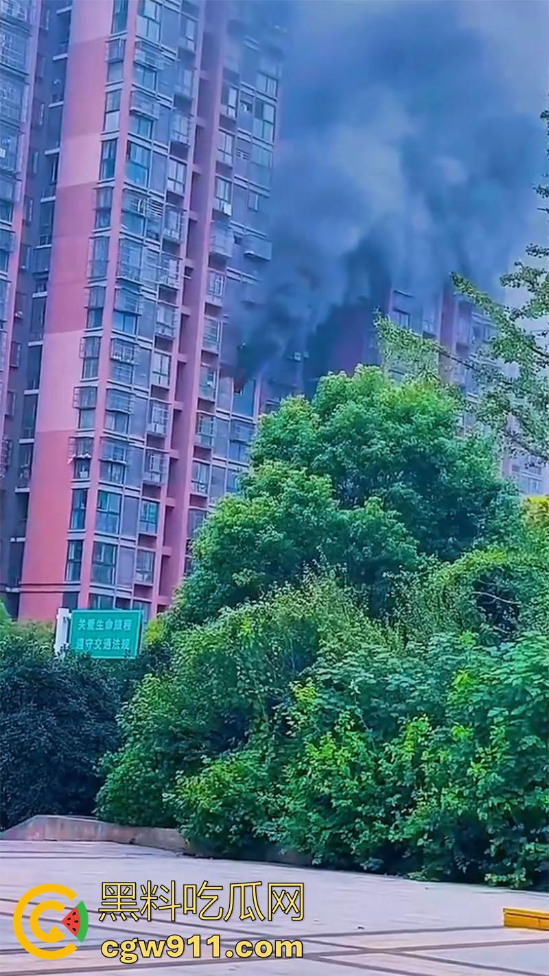 男人崩溃带走全家,合肥滨湖顺园北区发生火灾,据说是男人心态崩溃,给老婆和孩子下安眠药后点了房子!-2