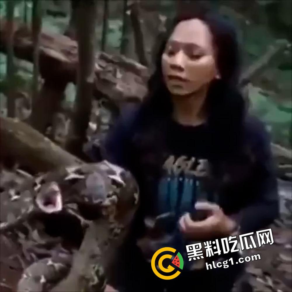 巨蟒咬鸡鸡 没有毒都能要人命 上一秒嚣张 下一秒死的心都有了-1