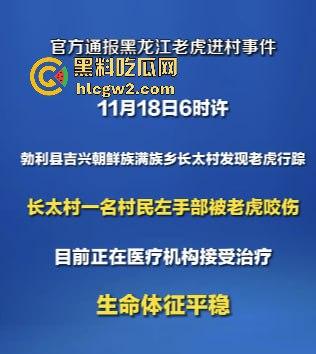 黑龙江勃利县长太村惊现野生东北虎入村 咬伤65岁大爷 大爷吃瓜看虎差点被虎吃 大爷还是大爷!-1