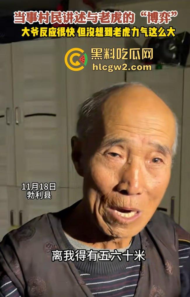 黑龙江勃利县长太村惊现野生东北虎入村 咬伤65岁大爷 大爷吃瓜看虎差点被虎吃 大爷还是大爷!-6