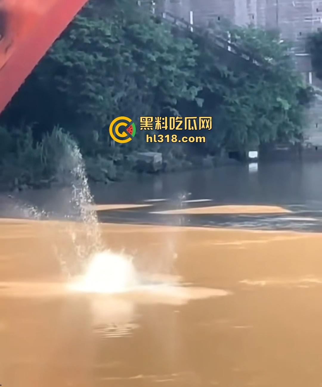 宜宾南门大桥惊魂跳河!黄河波浪敲响生命警钟,黄金30秒生死救援捡回一条狗命!-2