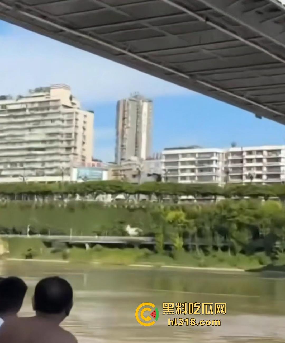 宜宾南门大桥惊魂跳河!黄河波浪敲响生命警钟,黄金30秒生死救援捡回一条狗命!-3