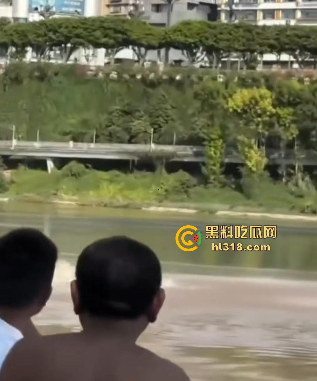 宜宾南门大桥惊魂跳河!黄河波浪敲响生命警钟,黄金30秒生死救援捡回一条狗命!-4
