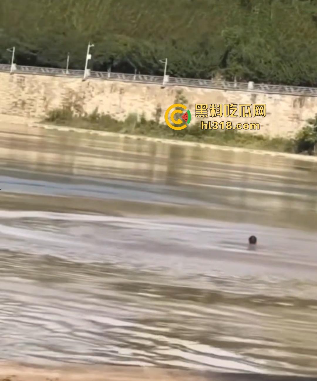 宜宾南门大桥惊魂跳河!黄河波浪敲响生命警钟,黄金30秒生死救援捡回一条狗命!-5