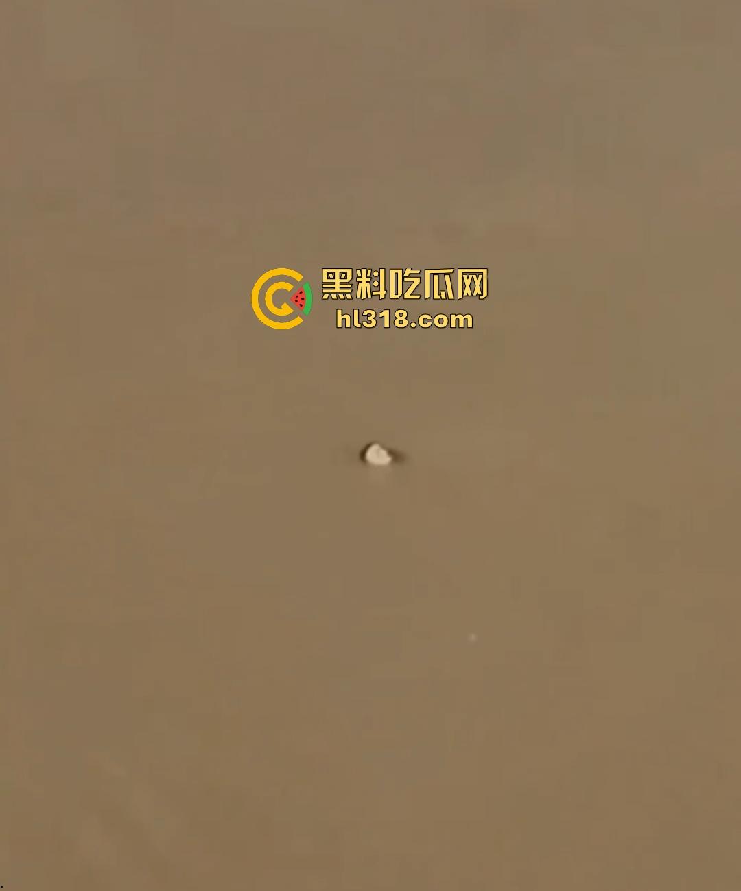 宜宾南门大桥惊魂跳河!黄河波浪敲响生命警钟,黄金30秒生死救援捡回一条狗命!-6