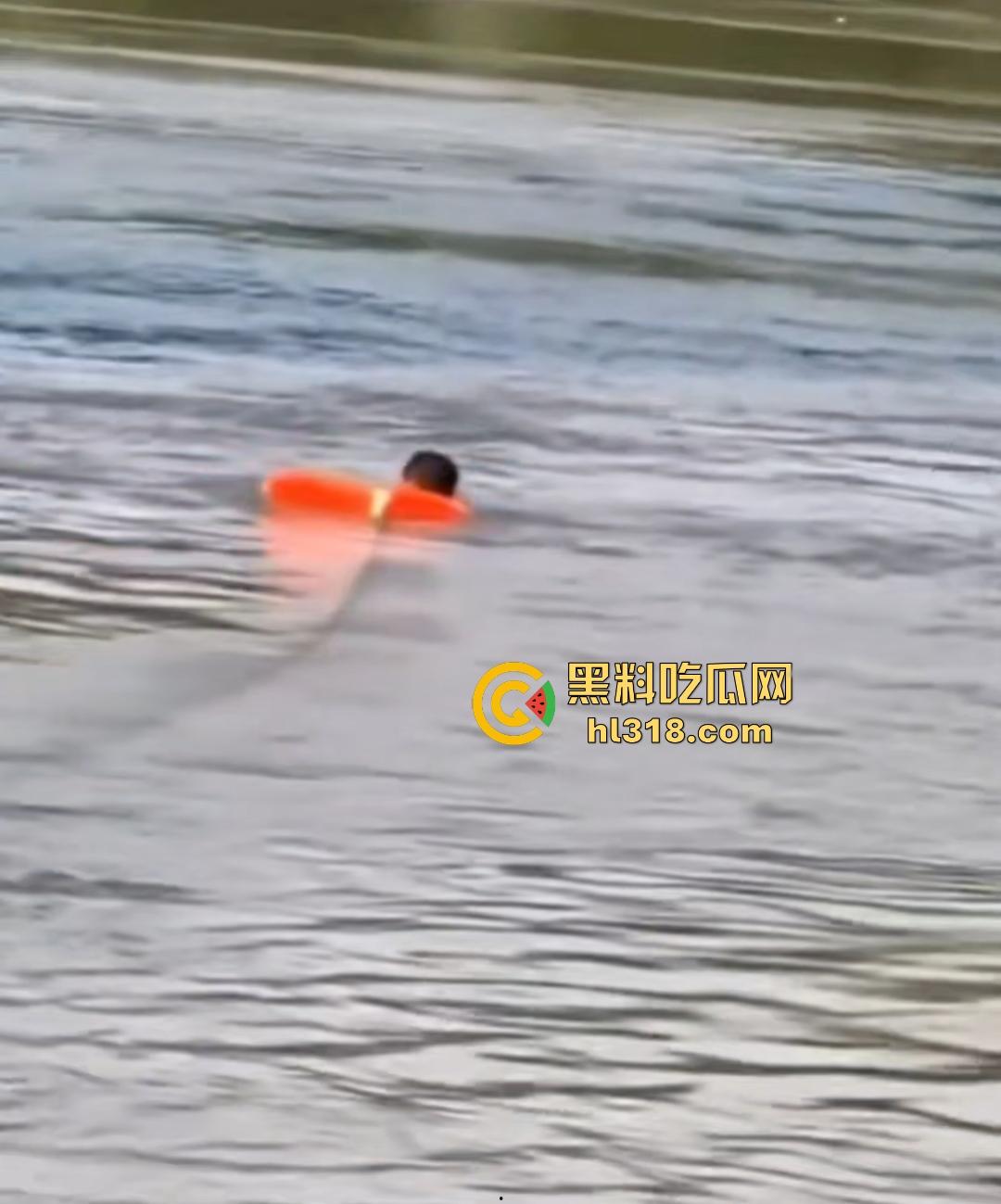 宜宾南门大桥惊魂跳河!黄河波浪敲响生命警钟,黄金30秒生死救援捡回一条狗命!-7