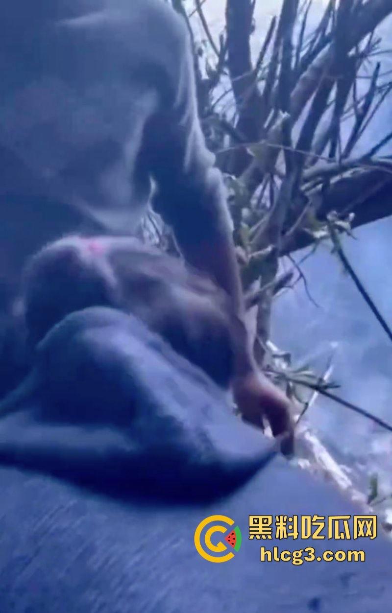 没事别出门!4名中国公民在尼泊尔直升机坠机事件中遇难!-8