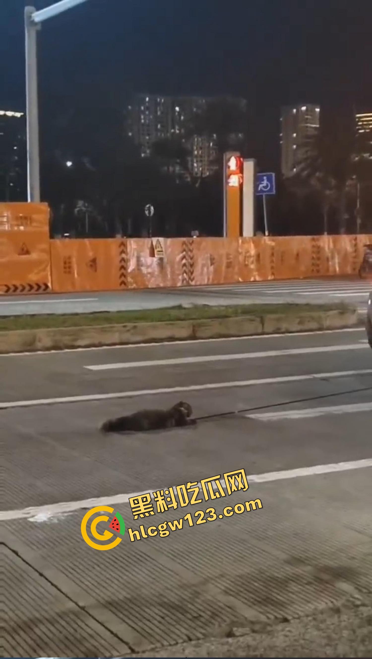 海南海口宝马车拖行小猫致死,群众当街怒吼追车,司机被围送派出所,这是碾压良知!-1