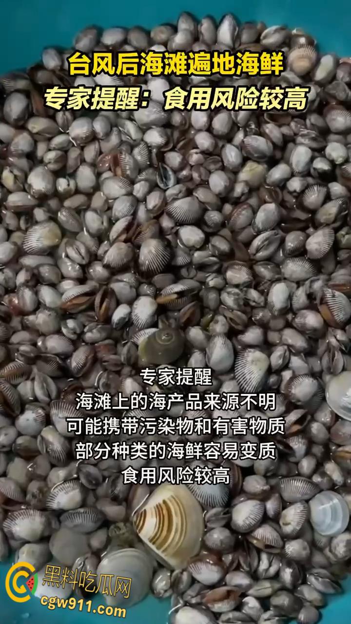 桦加沙台风卷海鲜上岸,街坊抢货如过年,海洋环境突变可能导致藻类大量繁殖,有毒勿食贪嘴小心躺板板!-2