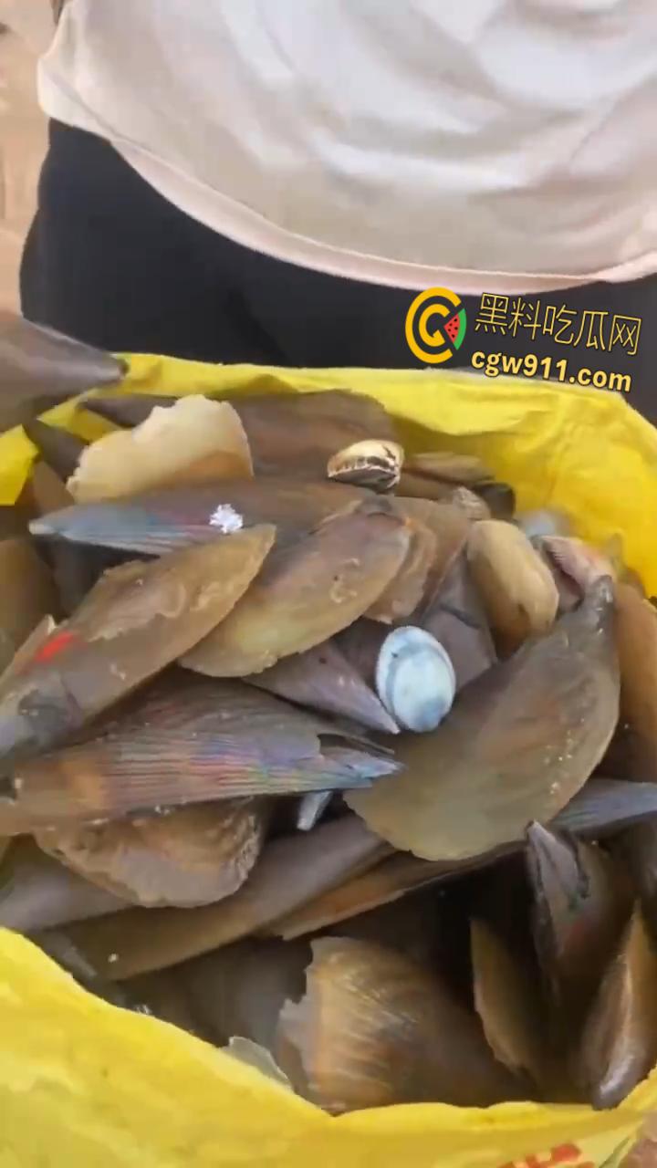 桦加沙台风卷海鲜上岸,街坊抢货如过年,海洋环境突变可能导致藻类大量繁殖,有毒勿食贪嘴小心躺板板!-6