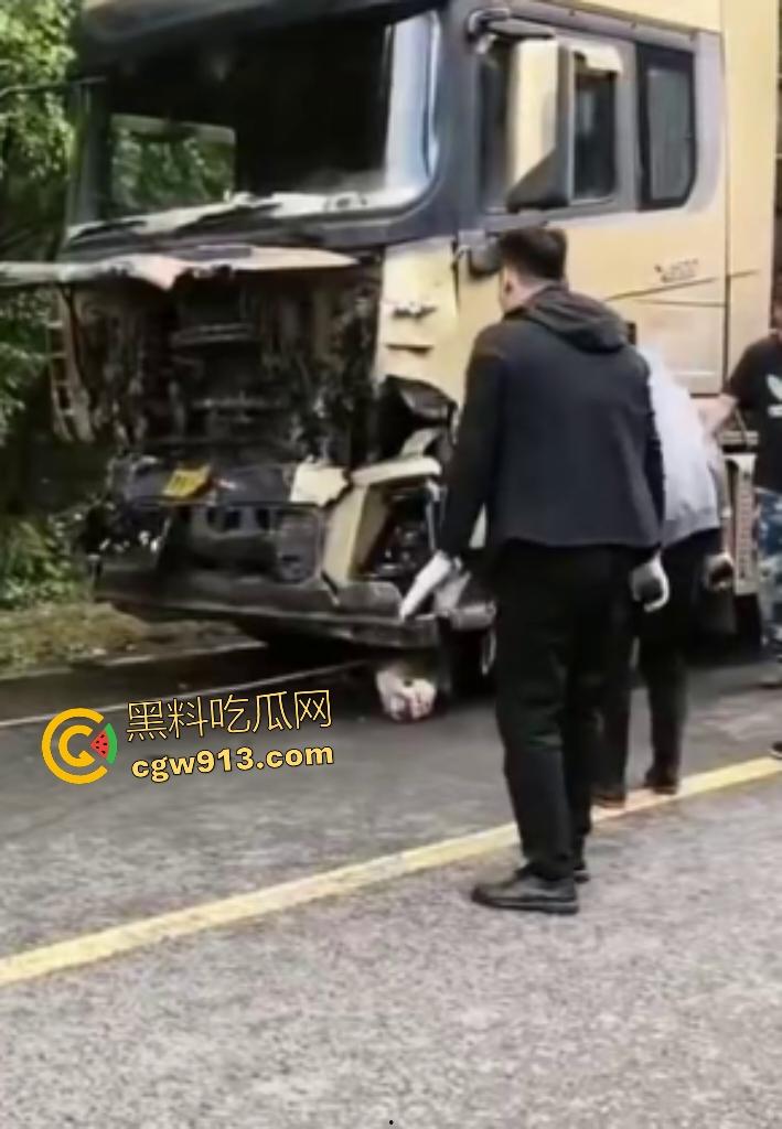 黑龙江货车狂飙撞扁16头活牛,尸体拉长成肉泥,丢草丛无人收,这下司机要赔得血本无归!-1