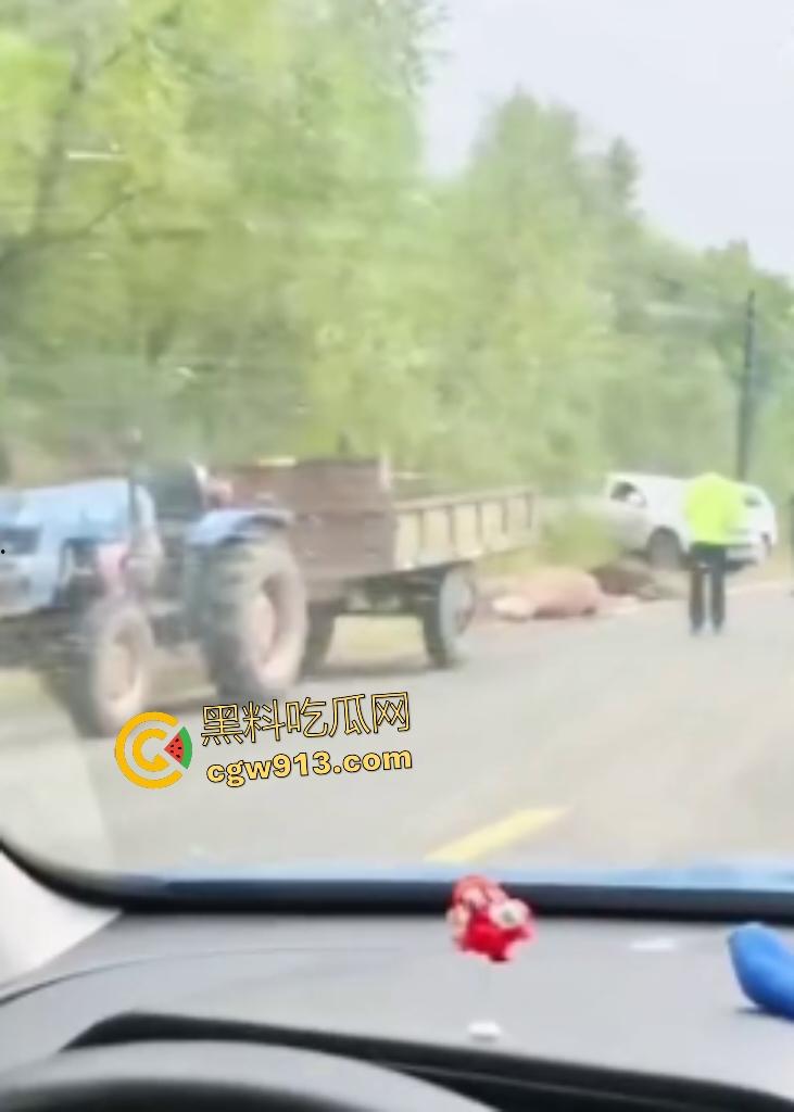 黑龙江货车狂飙撞扁16头活牛,尸体拉长成肉泥,丢草丛无人收,这下司机要赔得血本无归!-8