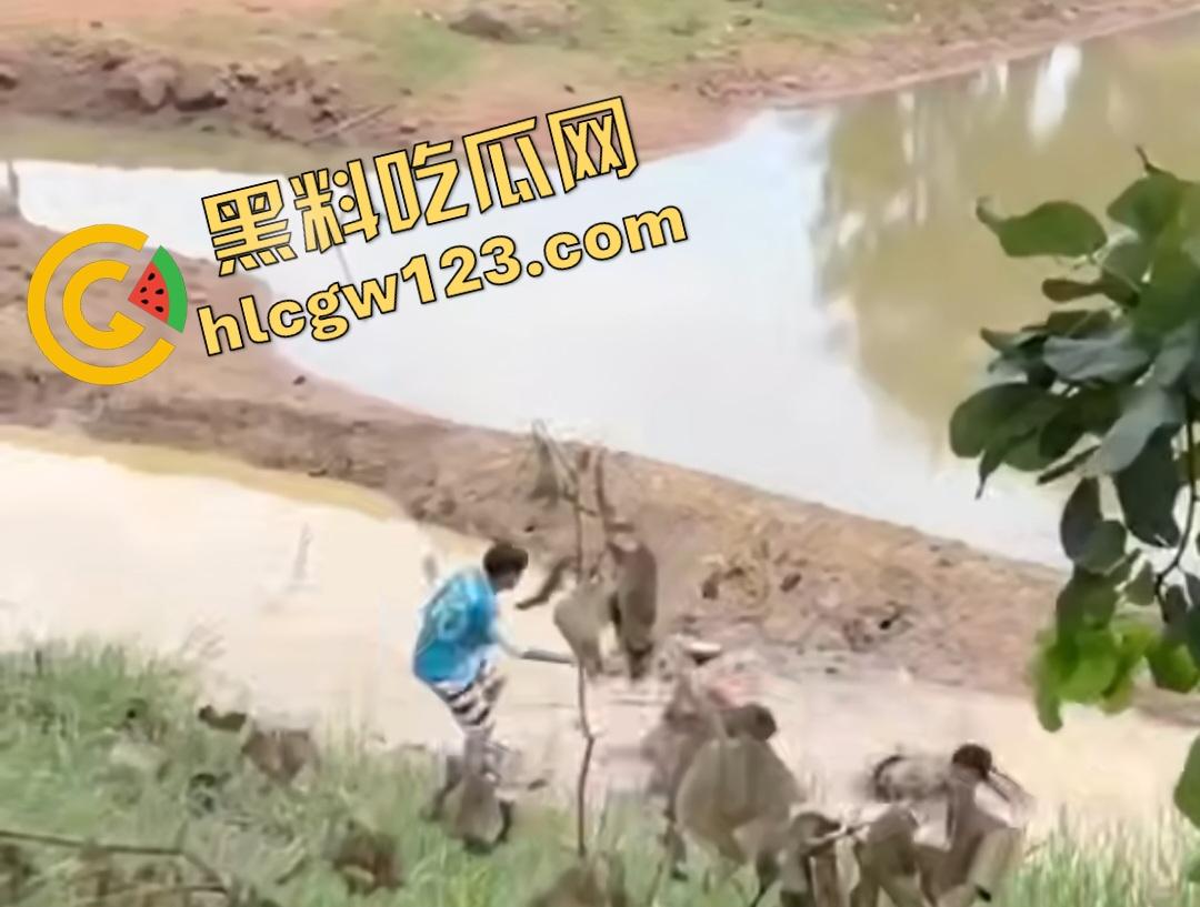 印度小哥翘屁股挑衅精神小伙被操翻!群殴打得满地找牙,警察来了也在一旁看戏!-1