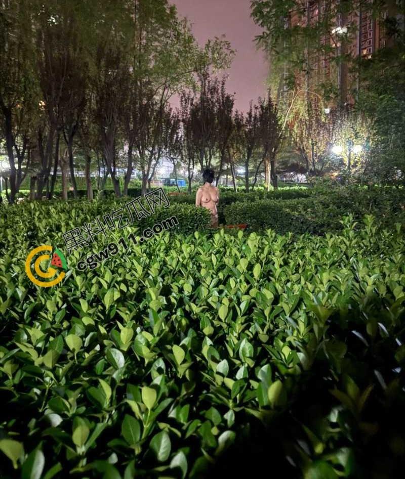 上海交通大学眼镜妹【胡丽敏】户外各种极限露出,翘臀巨乳 粉嫩肥穴被爆操,淫水狂流不止-9