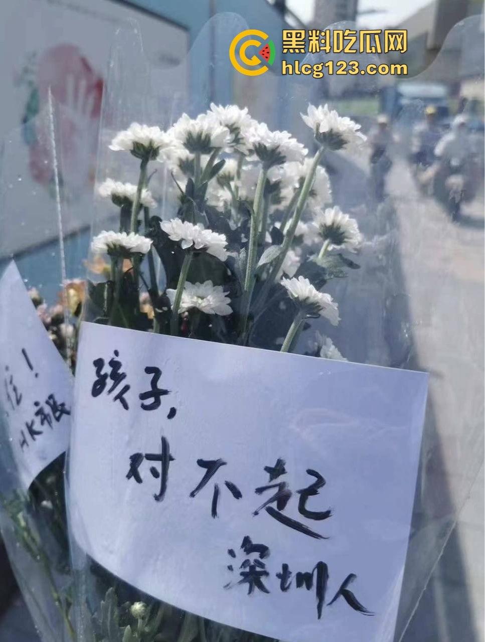 罗翔翻车了!一边谈历史一边踩雷,借排满聊排日,网友质疑他在搞民粹渗透!-7