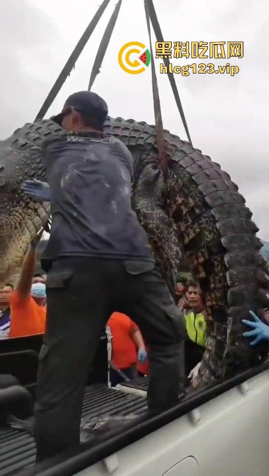 鳄鱼杀人开宴!小镇女孩惨遭下肚,砂捞越首次鳄鱼吃人,残骸成谜!-12