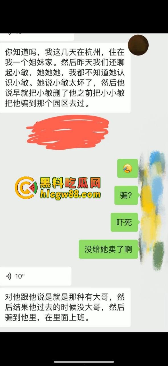 【东南亚故事汇】东南亚经济女皮骗术曝光,承诺8万结果送进40度毒趴场,跑路还自费机票,回国后被拉黑!-2